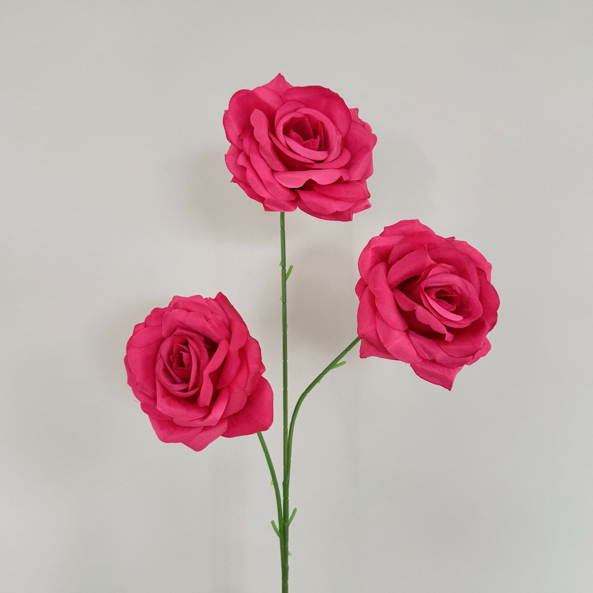 Rose rouge
