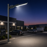 Lámpara de Calle LED para Exteriores con Certificación CE de 100W, Cuerpo de Aluminio, IP65, para Carreteras
