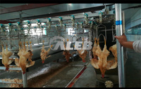 Ligne de production d'abattage de poulet, abattoir automatique de volailles, ligne de processus d'abattage