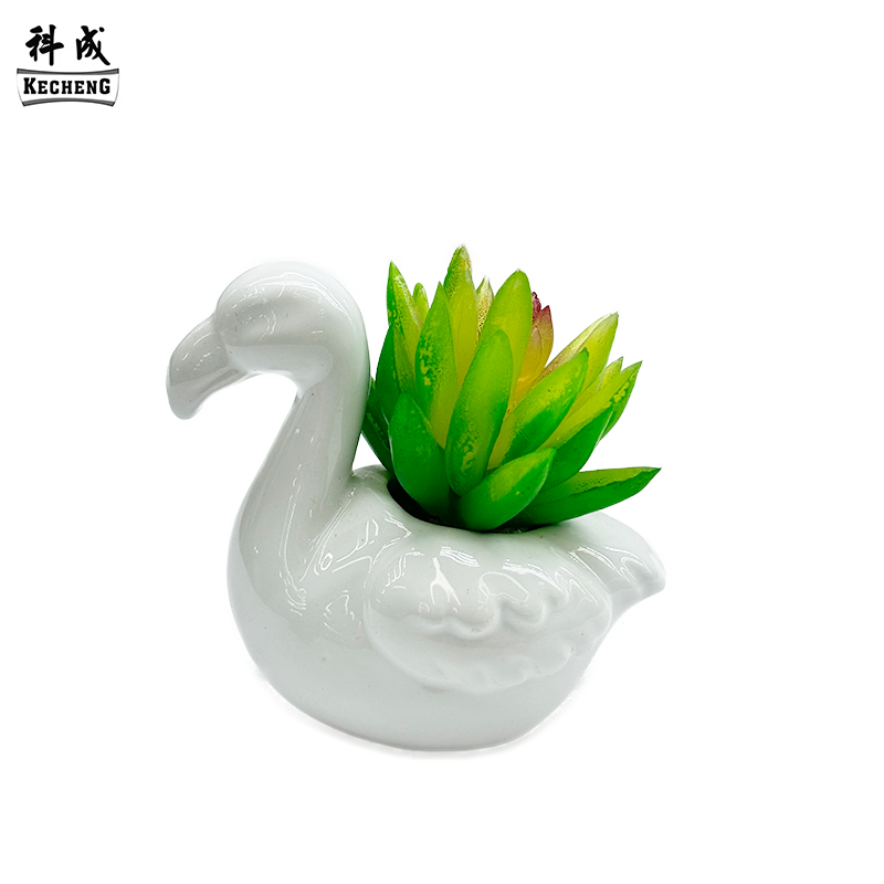 Cigno (miscela succulenta)