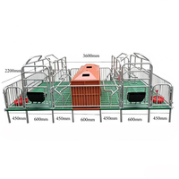 Cage de mise bas personnalisée pour truies, enclos de mise bas pour truies