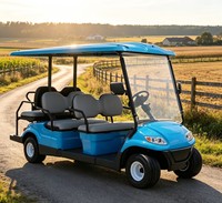 Carrito de Golf A617.4+2 de 6 Plazas, para Casa de Vacaciones junto al Lago, Transporta Artículos para Exteriores
