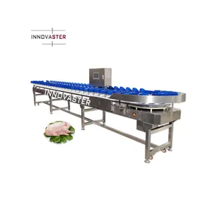 Automation Weight Sorting Machine Food Sorting Machine Easy to Operate Fruits Beans Eggs Vegetables Seafood Grading Machine