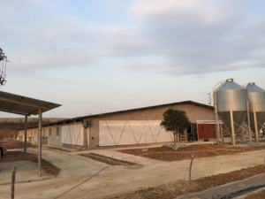 ถังให้อาหารสัตว์มีประสิทธิภาพและทนทานยืนยาวออกแบบมาเพื่อประสิทธิภาพสูงสุด - Product Image 2