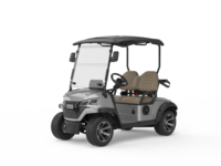 Voiturette de golf électrique 2 places avec batterie au lithium, personnalisable en couleur et logo, nouvelle arrivée, pour parcours de golf et complexe hôtelier