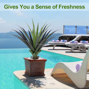 Planta de <span class=keywords><strong>agave</strong></span> con pinchos artificiales de 3 pies, 90CM, 36 pulgadas, plantas de <span class=keywords><strong>agave</strong></span> de imitación en maceta para interiores y exteriores, planta pequeña a prueba de rayos UV para porche delantero - Product Image 5