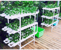 108 sites de plantes Kit de culture hydroponique Culture de l'eau Système de plantes de jardin Légumes à feuilles Laitue Herbe Système de culture hydroponique