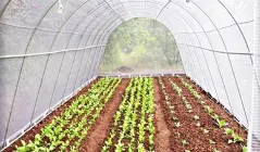 AntI-UV pertanian kain nonwoven rumah kaca menggunakan penutup tanaman buah musim dingin tahan beku PP kain non woven