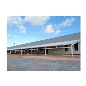 Estrutura Aço Galinha Casa Broiler <span class=keywords><strong>House</strong></span> <span class=keywords><strong>Farm</strong></span> Shed <span class=keywords><strong>Poultry</strong></span> Construção Pré-fabricada Armazém Builidngs - Product Image 4