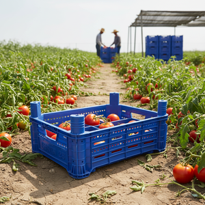 KE 727 Full Perforated Plastic <b>Crate</b> Virgin HDPE Heavy Duty Stackable Industrial Storage <b>Crate</b> for Agriculture and Harvest Use - Product Image 3