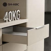 Système de tiroirs coulissants à double paroi SH-ABC, fermeture douce, en acier laminé à froid, capacité de charge 31-50 kg, idéal pour hôpitaux et salons
