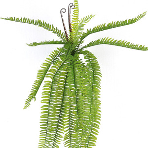 Commercio All'ingrosso di <span class=keywords><strong>Vendita</strong></span> calda di Seta Decorativo Pianta di Simulazione Hom Dicembre Artificiale Foglie di <span class=keywords><strong>Piante</strong></span> per le Decorazioni - Product Image 6