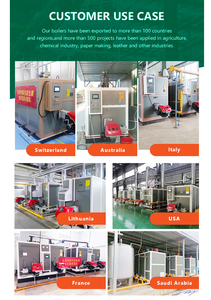 <span class=keywords><strong>Caldera</strong></span> <span class=keywords><strong>de</strong></span> vapor Beiste 0.5ton 1ton 1.5ton 2ton para <span class=keywords><strong>la</strong></span> industria alimentaria - Product Image 5