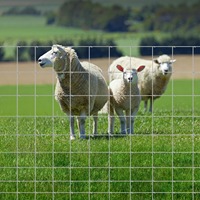 Clôture de ferme robuste en fil de fer galvanisé, grillage soudé pour le bétail, les cerfs, les chèvres, les moutons et la protection des champs