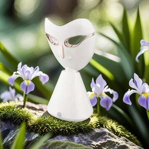 Maschera Facciale Design Elettrodomestico per la Cura del Viso Vapozone a Vapore Caldo Nano Ionico 280W 150mL per Pelle Normale - Product Image 3