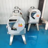 Automatische groente- en fruit snijmachine