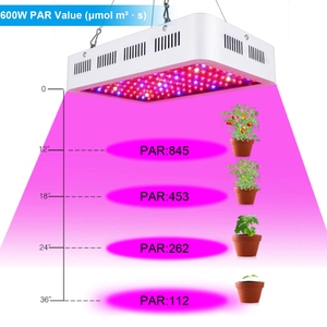 Lampe de culture LED à spectre complet 1200W avec puce Samsung COB pour plantes en floraison, utilisation hydroponique intérieure, étanche IP65 - Product Image 5