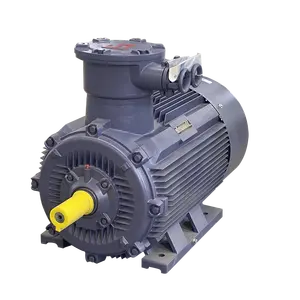 220 Kw Motor à Prova De Explosão 220kw 402v À Prova De Explosão 3 Fase Ie3 2 Hp 220v Motor De Indução À Prova De Explosão Ac