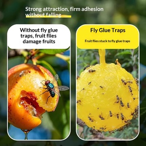 Strong Adhesive Yellow Sticky Trap, Waterproof for All Weather <b>Outdoor</b> Use - Product Image 4