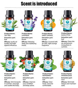 El fabricante chino vende aceite esencial orgánico aceite esencial de lavanda utilizado para regular el sueño y la aromaterapia - Product Image 3