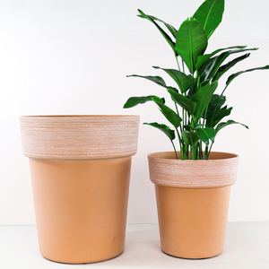 American Retro Do Old Green Flowers Pétunia Bird of Paradise Harp Leaf Banyan Tree Fat Planting <span class=keywords><strong>Pot</strong></span> Plastic <span class=keywords><strong>Pot</strong></span> - Product Image 3