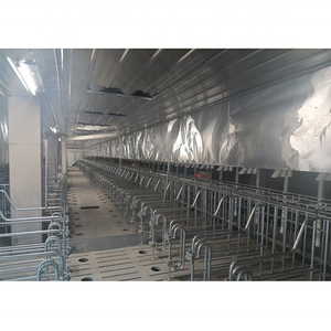 Gabbia per Gestazione Suini a Basso Costo, Stalla per Maiali da Allevamento - Product Image 3