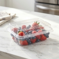 Boîte à sandwichs, pâtisseries, pains, gâteaux, fruits avec trous de ventilation, respirante, haute transparence, PET écologique, couvercle transparent 225x180x90MM