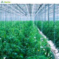 Livraison rapide de bonne qualité Film plastique multi-travées Tunnel serre fruits culture de tomates