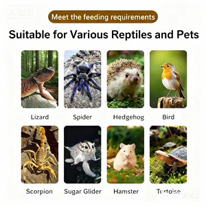 Terrario de PVC Negro para Geckos Crestados, Reptiles y Lagartos, Personalizable, Venta al Por Mayor, OEM - Product Image 2