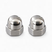 Mur Baut Kubah Berkualitas Tinggi Bahan Stainless Steel 304, Mur Penutup Poles, Mur Acorn Hexagonal A2-70, Mur Pengikat Perangkat Keras