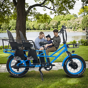 Nouveauté : Vélo <span class=keywords><strong>cargo</strong></span> électrique puissant à deux roues et pneus larges <span class=keywords><strong>pour</strong></span> bébé - Product Image 6