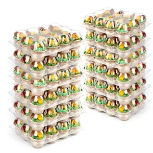 Custom Disposable 12 Compartment Clear Plastic Cup Cake Containers With Clamshell Lid