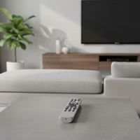 Nouvelle télécommande vocale de remplacement RMF-TX600U pour téléviseurs Sony XBR-55A9G XBR-65A9G XBR-85Z9G XBR-48A9S XBR-85X950G XBR-A9G XBR-850G