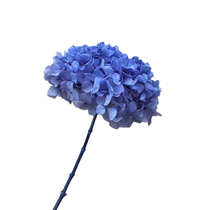 Ramo <span class=keywords><strong>de</strong></span> Flores Secas LUYI, <span class=keywords><strong>Hojas</strong></span> Grandes, Rosa, Azul, Morado, Blanco, Rosa Empolvado, Rojo, Hortensias Preservadas para Decoración <span class=keywords><strong>de</strong></span> Eventos - Product Image 4