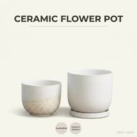 Décoration intérieure simple glaçure mouchetée mate cactus succulent pot de fleurs plantes en pot pots pots en céramique avec soucoupe