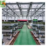 Moderne Commerciële Industrie Multi-Span Agrarische Kassen Gegalvaniseerd Stalen Frame Hydroponic Feature Pe Materiaal Voor Plant