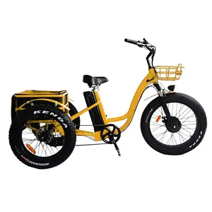 Sobowo trike elétrico de 4.0 polegadas 500w, motor gordo, pneu 3 rodas, triciclo, três rodas, caminhada elétrica de carga adulto com descanso