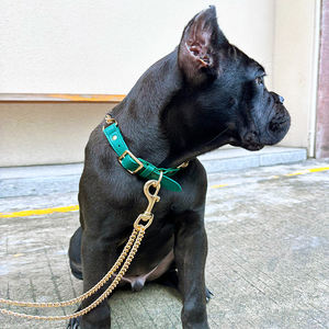 <span class=keywords><strong>Collar</strong></span> de cadena de perro de acero inoxidable de metal personalizado y conjunto de correa disponible al por mayor de lujo personalizado con mango de cuero vegano correas para mascotas - Product Image 2