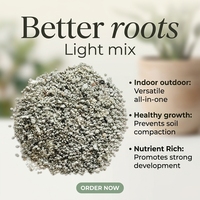 Litière pour chats à base de bentonite, naturelle SQ-02, agglomération rapide, contrôle efficace des odeurs, faible émission de poussière, 10L, sable pour animaux de compagnie, facile à ramasser