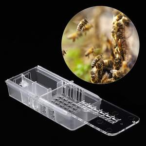 Profesyonel kraliçe arılar için Catcher ekipmanları şeffaf plastik arıcılık yetiştirme kafes arı çiftlik yeni durum kültür aracı - Product Image 2