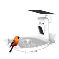 Bain d'oiseaux intelligent avec caméra 2K, alimentation solaire, étanche IP66, modèle en plastique BF-06 pour l'observation des oiseaux avec audio bidirectionnel et fonction d'alarme