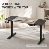 Table de travail électrique à moteur unique AOR, réglable en hauteur, avec panneau E0, contrôle à 3 vitesses par bouton mémoire, protection contre la surchauffe, vente en gros usine
