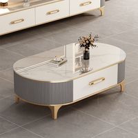 Table basse en pierre de luxe légère 2024 et combinaison de meuble TV ovale moderne, mobilier simple pour petits appartements
