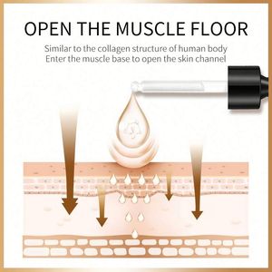 Nuevo sérum facial antienvejecimiento de marca privada para el cuidado de la piel, el mejor sérum facial, imágenes al por mayor - Product Image 2