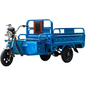 Electric Tricycles 2024 Most 3 Wheel Electric Tricycle Sold For Cargo