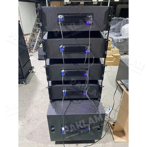 PAKLAM AUDIO Garantierte Qualität Dual 10 Zoll Zweiwege Aktives Line Array Wasserdichtes 600W Maßgefertigtes Lautsprechergehäuse - Product Image 6