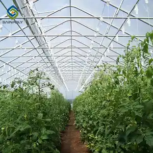 Sainpoly-marcos de invernadero hidropónico de tomate, para agricultura, túnel alto