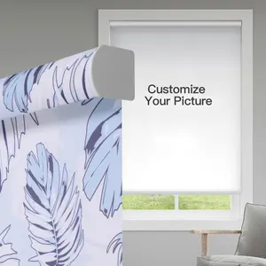 Home Decor Luxury Shangrila Blinds For Window Printed Zebra Blinds Roller Shade Serenity Sheer Shade Shangri-la Zebra Curtain