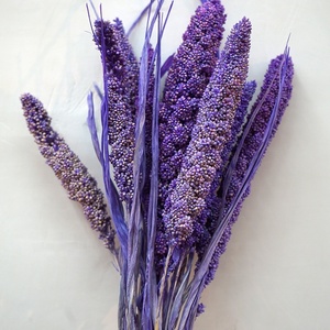 Vera e propria naturale conservata, fiori decorativi, corone e piante fiori secchi, piante all'ingrosso - Product Image 3