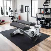 Équipement d'entraînement à domicile Stepper d'escalier pour l'exercice Mini Steppers avec bande de résistance Hydraulic Fitness Stepper